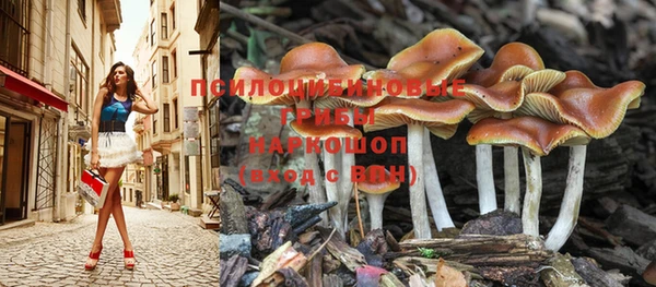 гашик Алексеевка