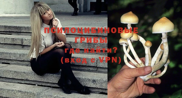 гашик Алексеевка