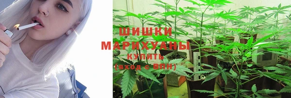 гашик Алексеевка