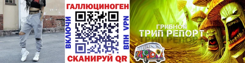 Галлюциногенные грибы GOLDEN TEACHER  Сольвычегодск 